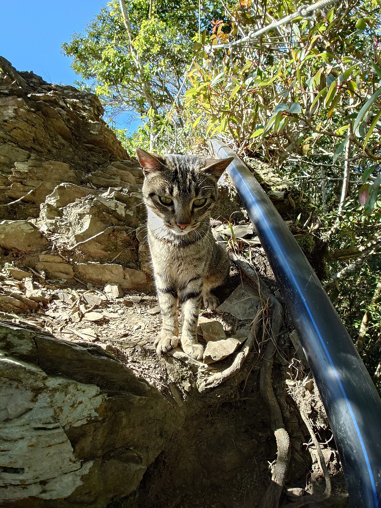 Xperia 1 VI 相片大樓蓋看看......