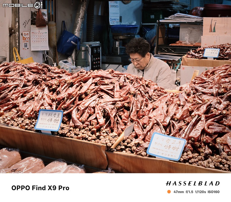 點我看大圖 OPPO Find X9 Pro 大師模式旅拍|與哈蘇同行,捕捉釜山城市光影!