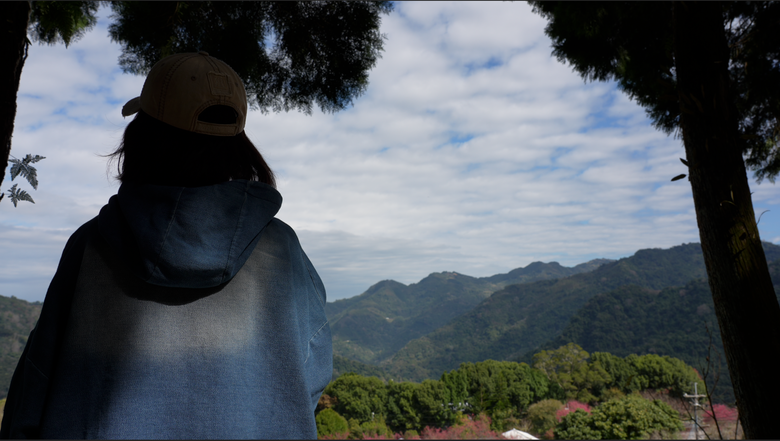 女子單人車泊｜櫻花開了 新年快樂｜2026年做到三件事就旺旺｜#鬼澤157露營區