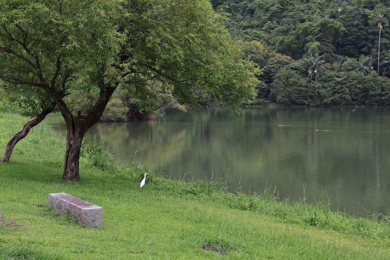 【遊記】一座以「國花」命名的湖泊，先人真的很有想像力，梅花湖 - 大漠國渡