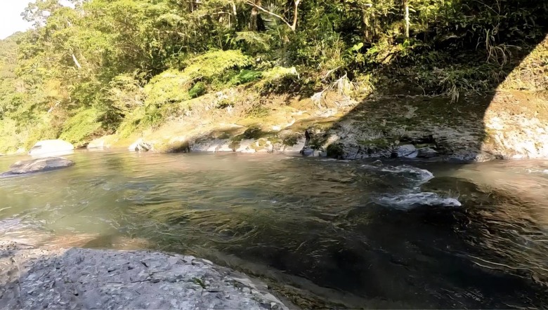 溪遊記-封溪20年野溪解封實測！魚況爆發？真實釣況完整記錄