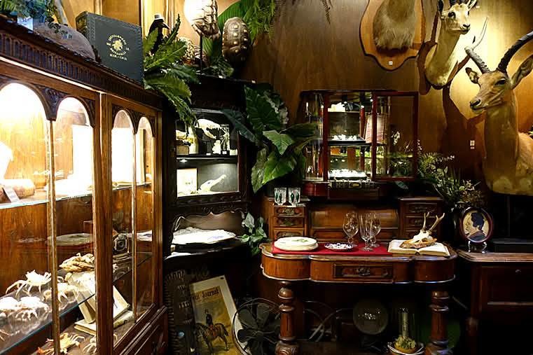 【小惡魔驫到成功】台南中西區丨仰角舶物：栩栩如生的標本博物館