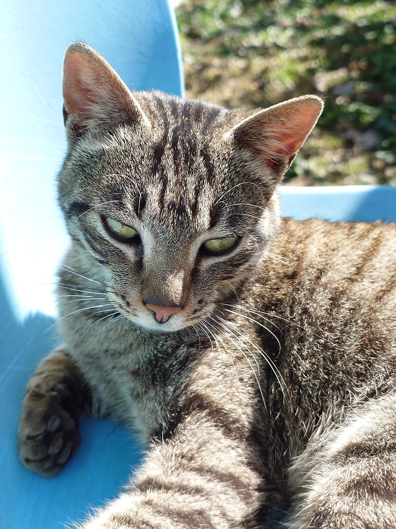 Xperia 1 VI 相片大樓蓋看看......