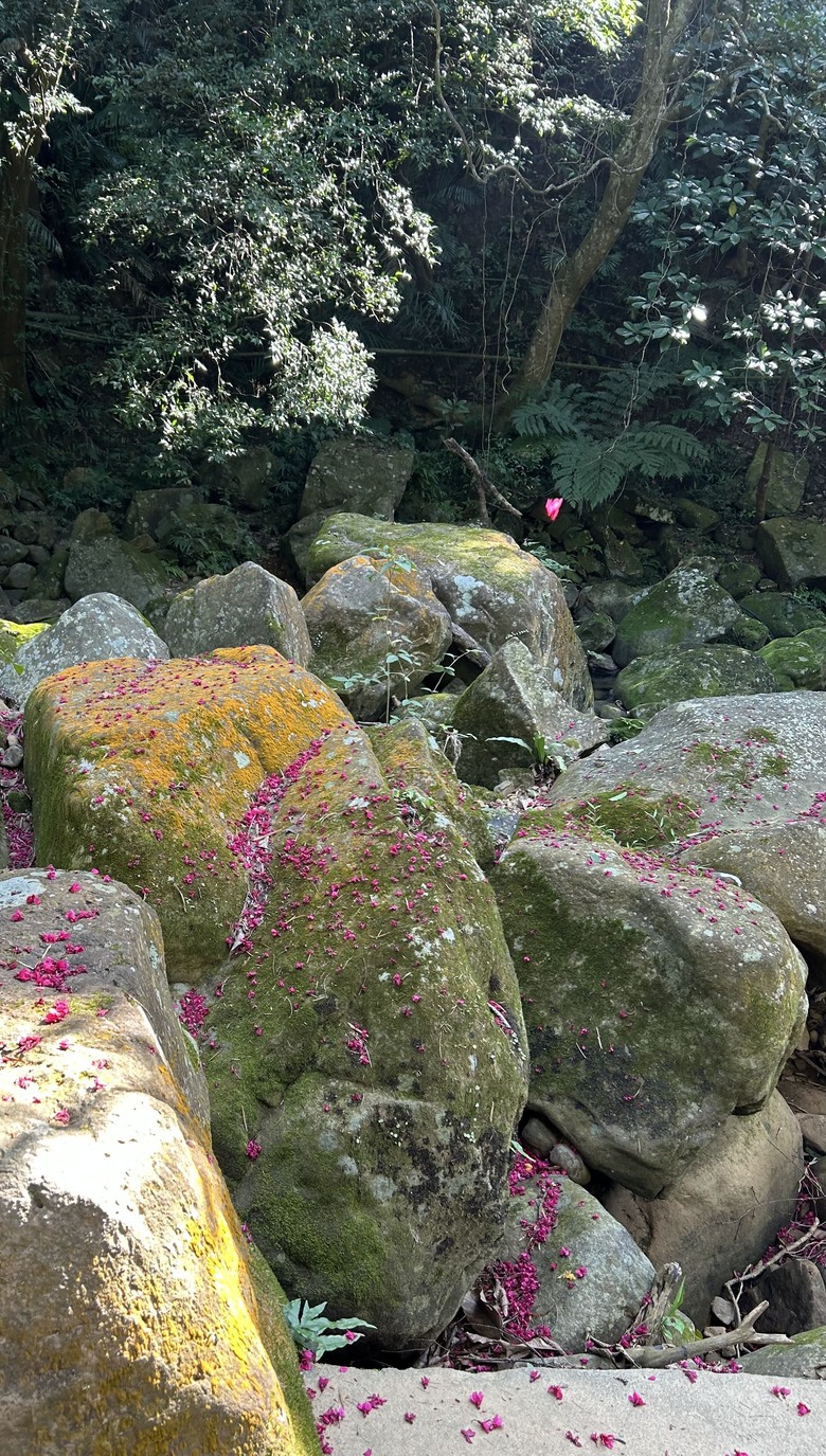 2026 臺北市內湖雙心縱走