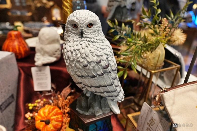 【小惡魔驫到成功】新年趴趴走❤️lalaport 南港哈利波特專賣店隨拍❤️