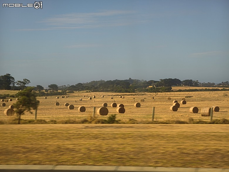 墨爾本近郊之菲利普島(Phillip Island)企鵝歸巢(Penguin Parade)、普芬比利鐵路(Puffing Billy)古董蒸汽火車，附掛旅途中的用餐與沿路風景 — 2026東澳洲四大城巡遊之墨爾本段 第1部