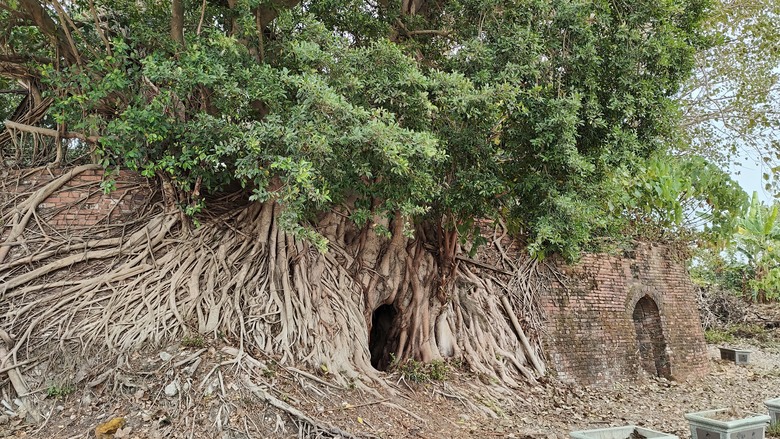 大寮廢棄的磚窯廠