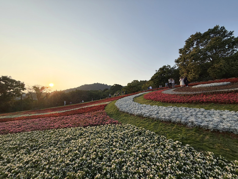 北投三層崎公園 | 春色繽紛的浪漫花海