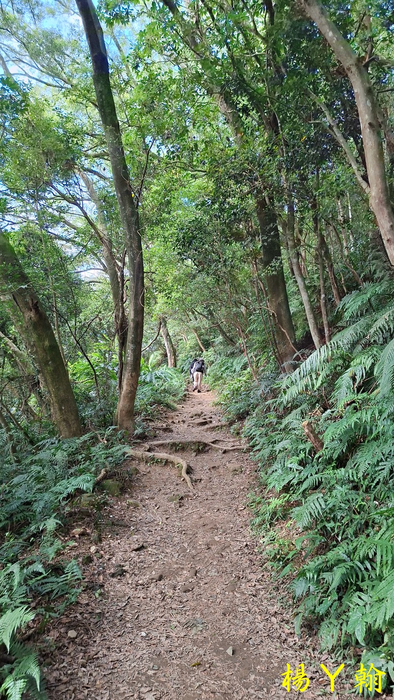 【台灣小百岳】好漢坡上太平山、石門山視野好展望佳