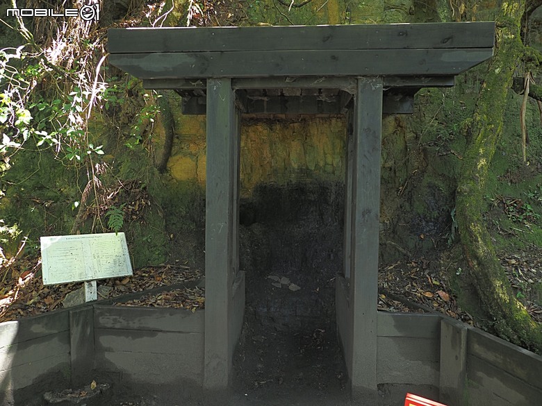雪梨近郊之藍山國家公園(Blue Mountains National Park)，世界自然遺產之大藍山地區之一部，附掛團員一致說讚的中式合菜 Katoomba Canton Palace — 2026東澳洲四大城巡遊之雪梨段 第1部