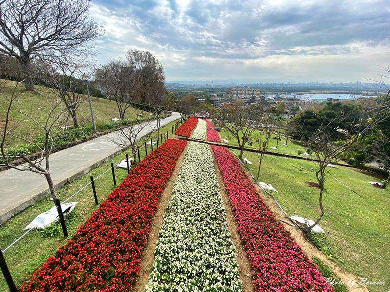 台版富良野~三層崎花海.花願同行 在春天的坡上相遇