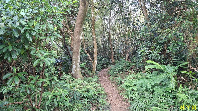 【台灣小百岳】好漢坡上太平山、石門山視野好展望佳