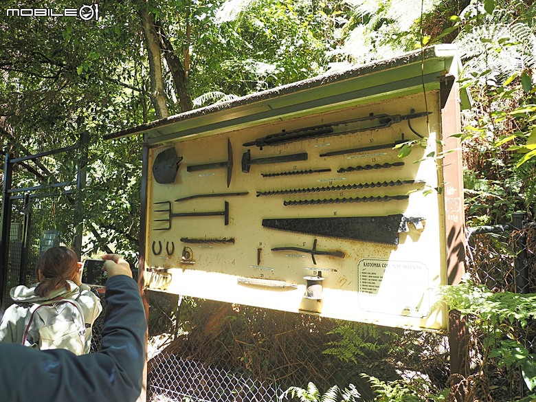 雪梨近郊之藍山國家公園(Blue Mountains National Park)，世界自然遺產之大藍山地區之一部，附掛團員一致說讚的中式合菜 Katoomba Canton Palace — 2026東澳洲四大城巡遊之雪梨段 第1部