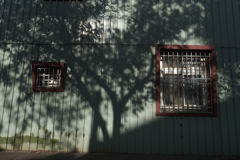 Fuji XF16mmF1.4 遠拍近看迎新春