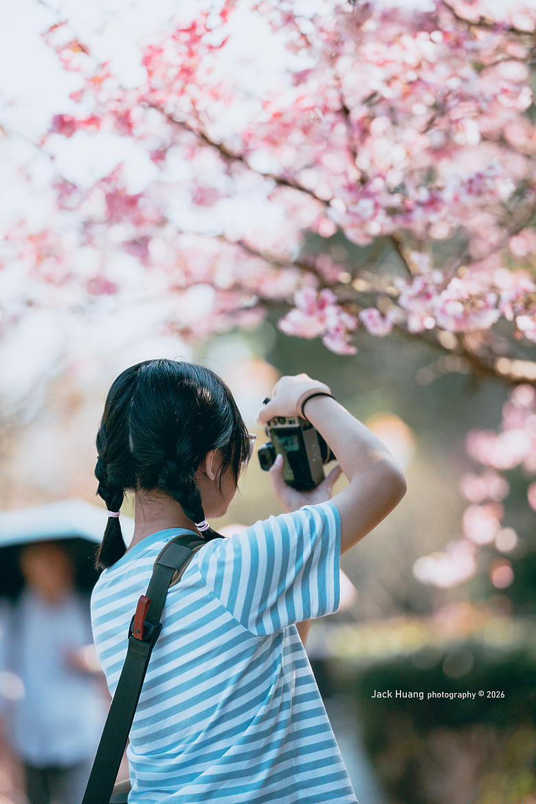 城市裡的櫻花 ZR首拍