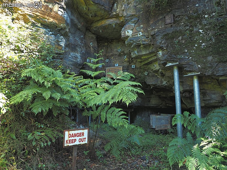 雪梨近郊之藍山國家公園(Blue Mountains National Park)，世界自然遺產之大藍山地區之一部，附掛團員一致說讚的中式合菜 Katoomba Canton Palace — 2026東澳洲四大城巡遊之雪梨段 第1部