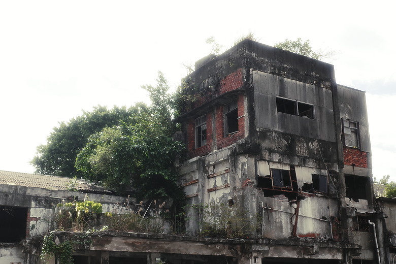 RICOH GR IV HDF 評測報告｜領略「高光擴散」的影像魅力！