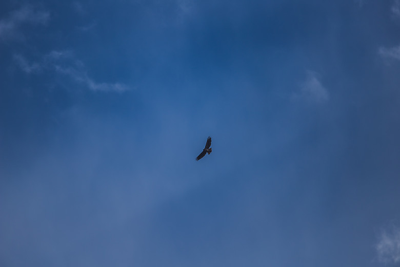 一個人一台車一路向北直到世界的盡頭 – 兩個月的公路露營旅行 – EP 9 – 最後贏的，永遠是土地 | 冰刻其形，火仍在燃，山靜靜站著