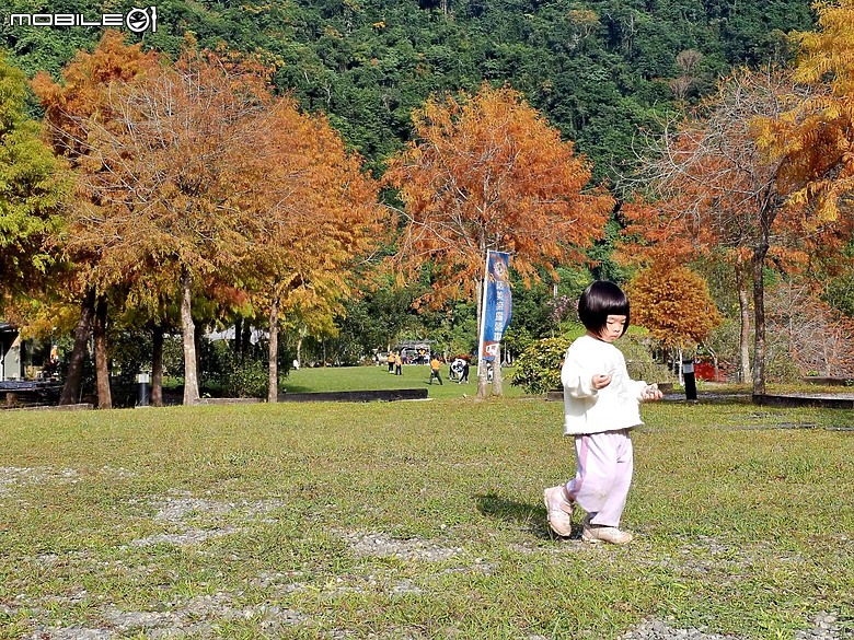 駕著Mercedes-AMG GLE 53 4MATIC+星夜版來趟南澳小旅行｜能快更能陪伴的性能休旅！