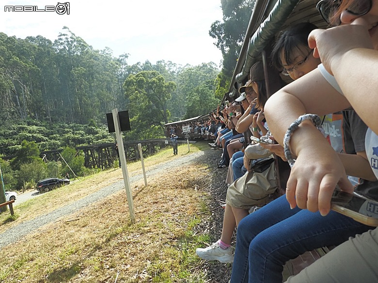 墨爾本近郊之菲利普島(Phillip Island)企鵝歸巢(Penguin Parade)、普芬比利鐵路(Puffing Billy)古董蒸汽火車，附掛旅途中的用餐與沿路風景 — 2026東澳洲四大城巡遊之墨爾本段 第1部