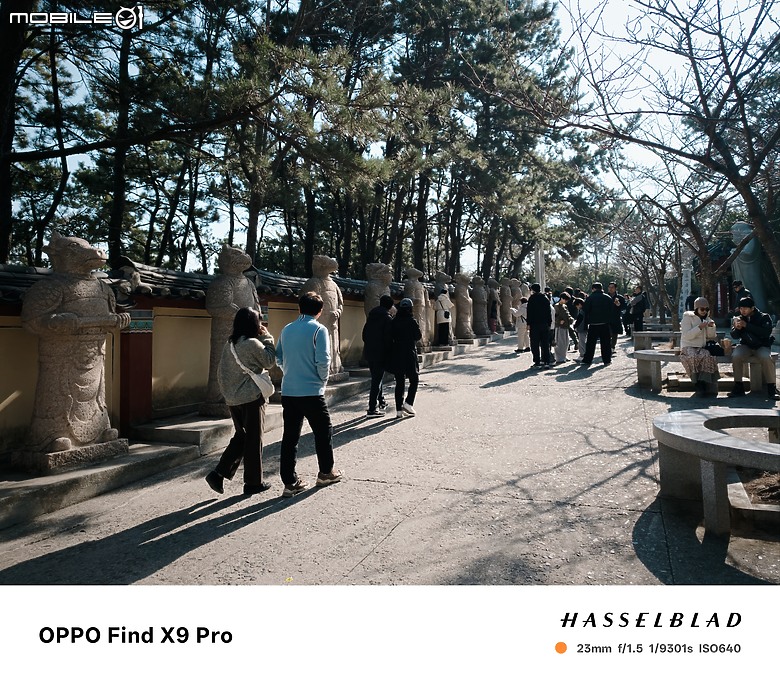 點我看大圖 OPPO Find X9 Pro 大師模式旅拍|與哈蘇同行,捕捉釜山城市光影!