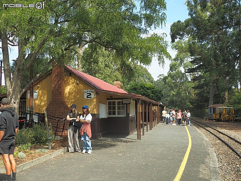 墨爾本近郊之菲利普島(Phillip Island)企鵝歸巢(Penguin Parade)、普芬比利鐵路(Puffing Billy)古董蒸汽火車，附掛旅途中的用餐與沿路風景 — 2026東澳洲四大城巡遊之墨爾本段 第1部