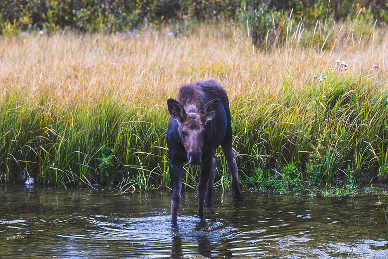 一個人一台車一路向北直到世界的盡頭 – 兩個月的公路露營旅行 – EP 11 – 河中央的那一眼