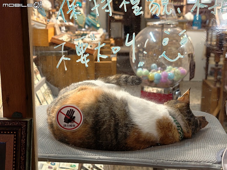 【小惡魔驫到成功】普濟殿燈會與馬年神農街花燈展,過年來臺南賞燈海 — 2026年新年走春 第二站