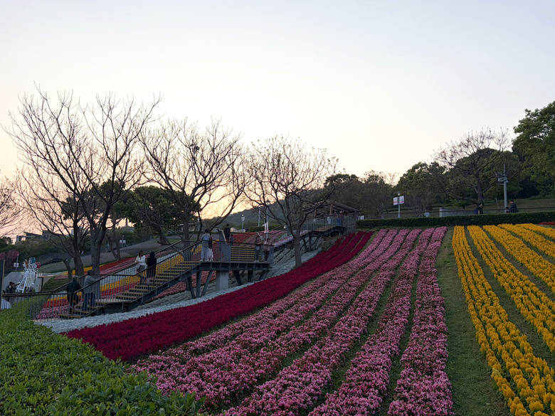 北投三層崎公園 | 春色繽紛的浪漫花海