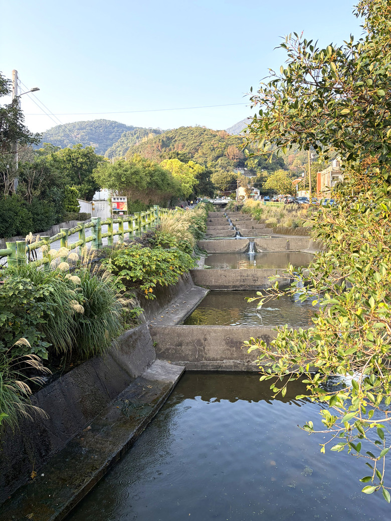 北投三層崎公園 | 春色繽紛的浪漫花海