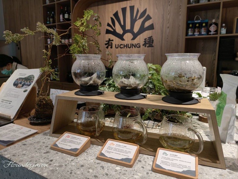 【小惡魔驫到成功】尋找一種「有種」的療癒：坪林老街裡的茶香新靈魂