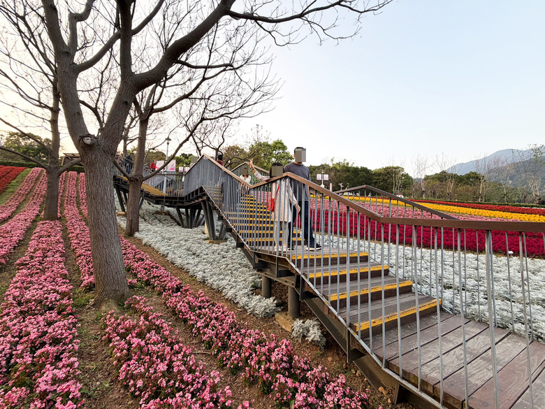 北投三層崎公園 | 春色繽紛的浪漫花海