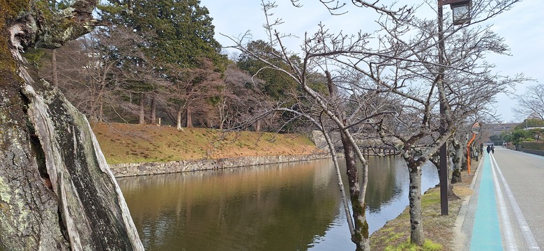 彥根城 遊記｜靜靜倒映在護城河的江戶時光