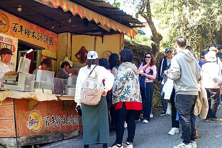 【小惡魔驫到成功】嘉義奮起湖丨杉林棧道:銀髮族也能輕鬆走
