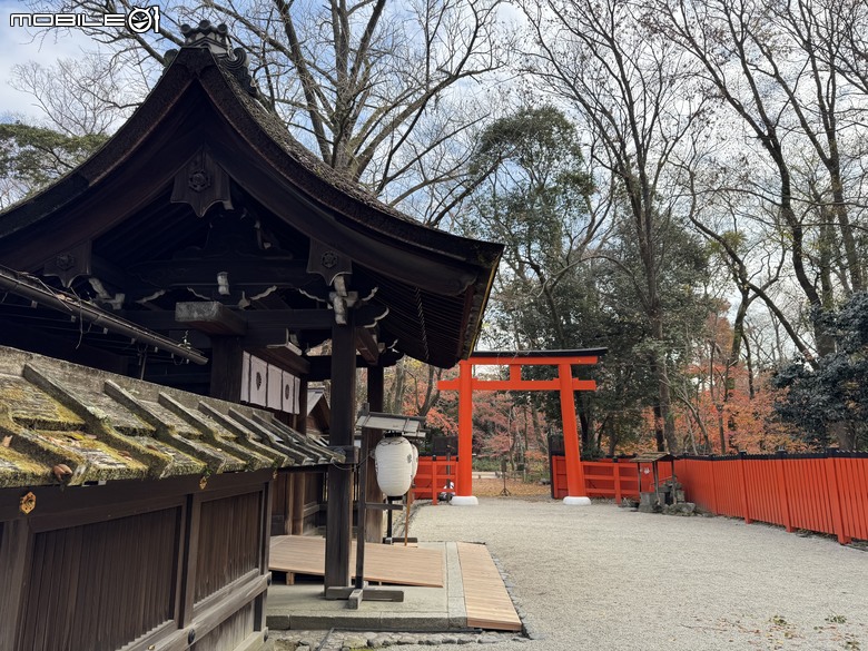 [京都] 賀茂御祖神社 (下鴨神社)