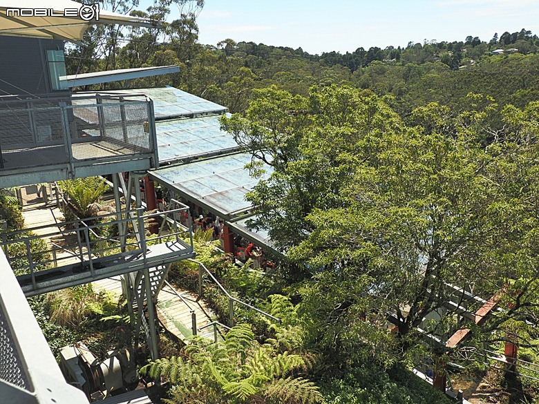 雪梨近郊之藍山國家公園(Blue Mountains National Park)，世界自然遺產之大藍山地區之一部，附掛團員一致說讚的中式合菜 Katoomba Canton Palace — 2026東澳洲四大城巡遊之雪梨段 第1部