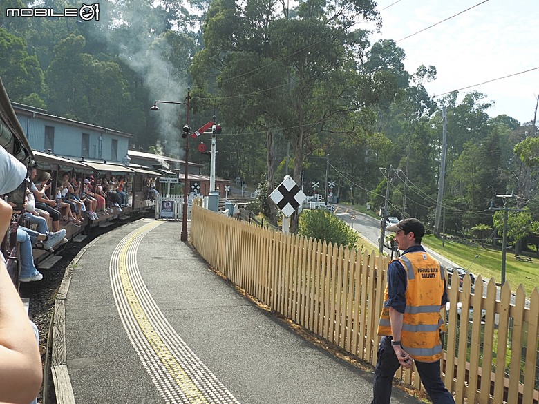 墨爾本近郊之菲利普島(Phillip Island)企鵝歸巢(Penguin Parade)、普芬比利鐵路(Puffing Billy)古董蒸汽火車，附掛旅途中的用餐與沿路風景 — 2026東澳洲四大城巡遊之墨爾本段 第1部