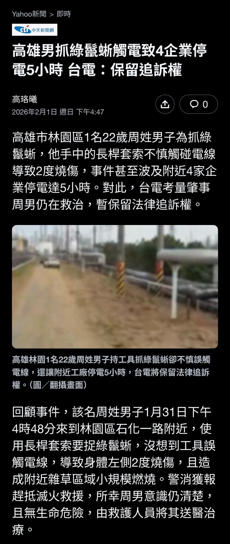 高雄男抓綠鬣蜥觸電致4企業停電5小時 台電：保留追訴權