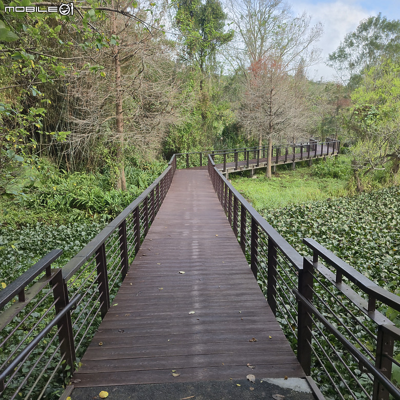 【健行】被譽為「新竹版日月潭」的峨眉湖，走了趟環湖步道，但是...!