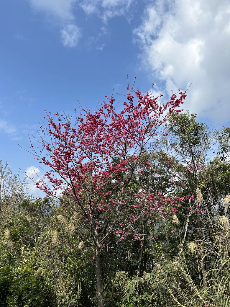 2026 臺北市內湖雙心縱走