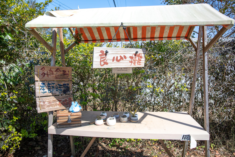 【小惡魔驫到成功】苗栗櫻花序曲：住進貓頭鷹哈比屋，遇見山巔的粉色浪漫