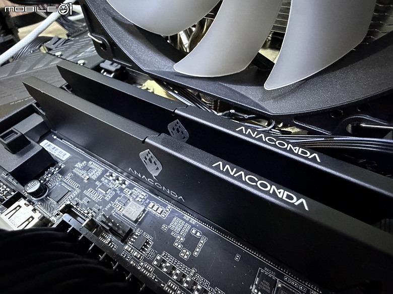 巨蟒蛇蛇 ANACOMDA KingSnake 黑王蛇 D5-6000 美光新顆粒