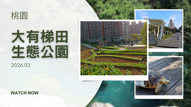 【桃園 大有梯田🏘️生態公園】生態休閒、讓小朋友⚡放電的好地方 ~ #安哥遊蹤
