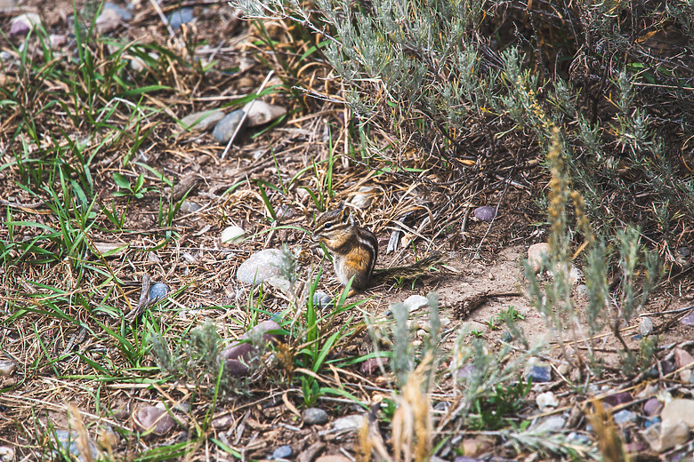 一個人一台車一路向北直到世界的盡頭 – 兩個月的公路露營旅行 – EP 11 – 河中央的那一眼