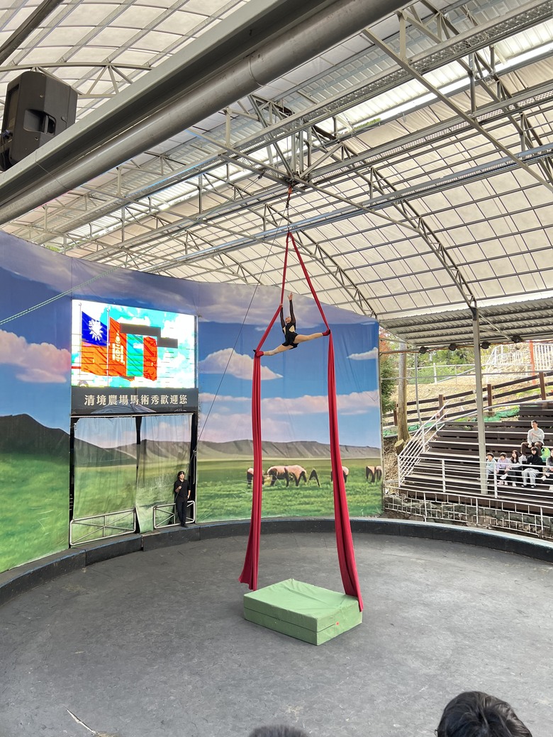 【小惡魔驫到成功】🐎 清境農場利比札馬術秀｜第一次看真的超震撼！