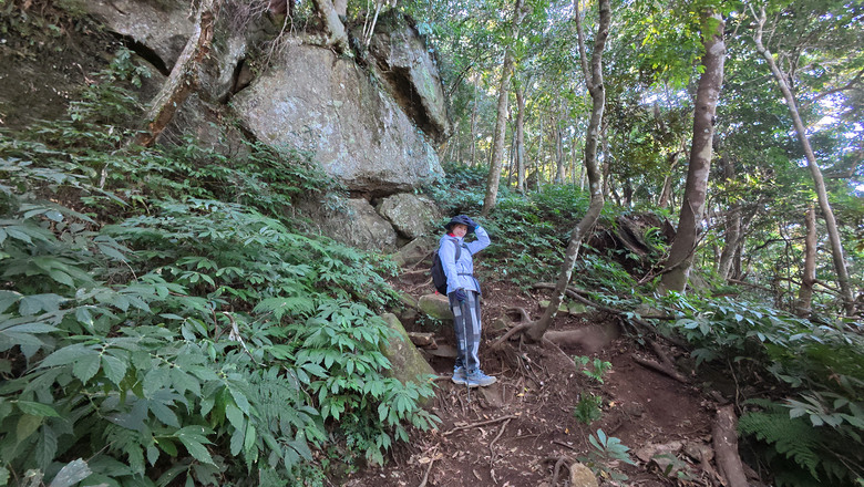 【油羅山】一座可以治癒人心靈的山 | 新竹羅山林道