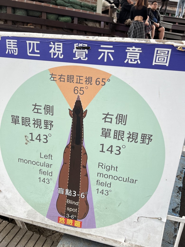 【小惡魔驫到成功】🐎 清境農場利比札馬術秀｜第一次看真的超震撼！