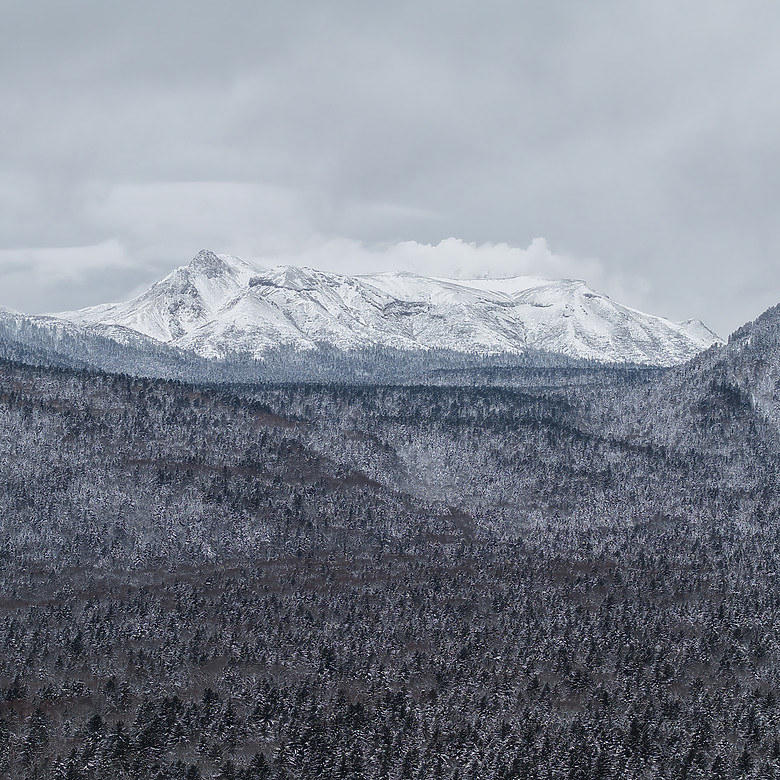 點我看大圖 Z8 |北海道,當公路只剩下我與風景