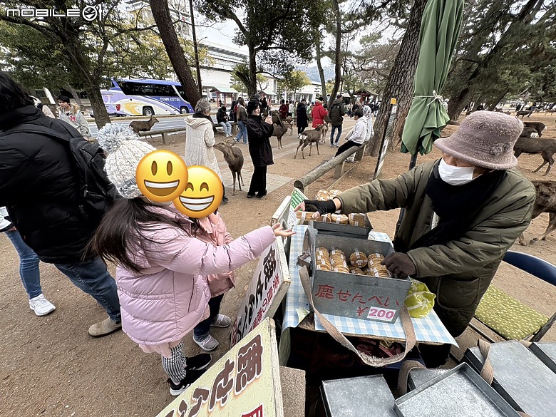 點我看大圖 【小惡魔驫到成功】2026 關西親子旅行 Day4|奈良散策,然後散到整天大延誤