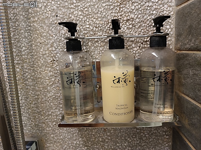 【小惡魔驫到成功】從東臺灣住到南臺灣，再回到北臺灣 — 老狗的2025年公務及國旅住宿旅館全紀錄